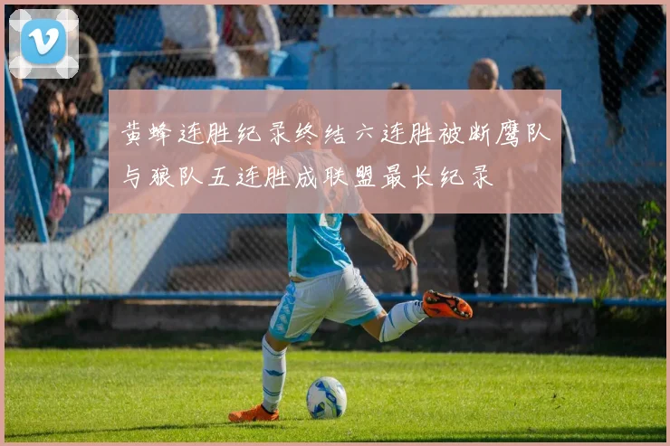 黄蜂连胜纪录终结六连胜被断鹰队与狼队五连胜成联盟最长纪录