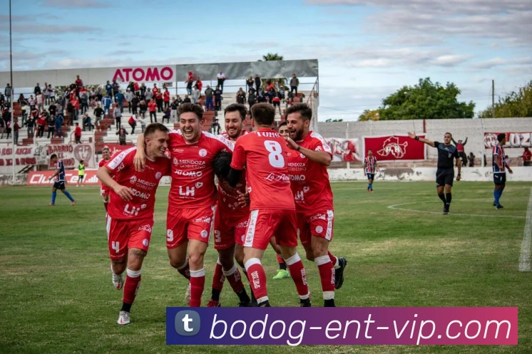 博狗体育平台生态图