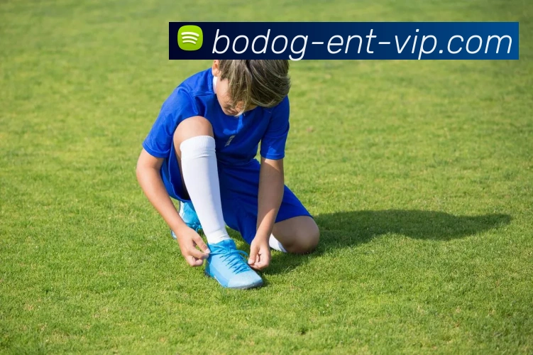 博狗体育APP 封面图